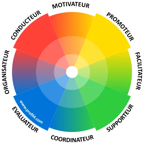 résultat DISC