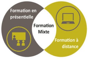 Formation Présentiel et distanciel